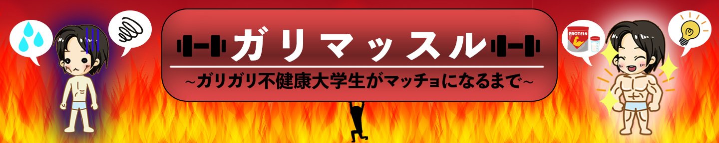 ガリマッスル〜ガリガリ不健康な大学生がRizapでマッスルになるまで〜